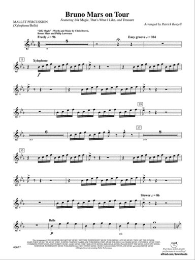 Bruno Mars on Tour: Mallets