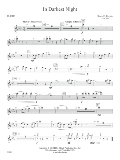 In Darkest Night: Flute