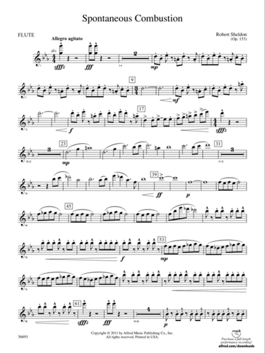 Spontaneous Combustion: Flute