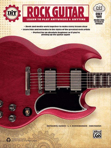 DiY (Do it Yourself) Rock Guitar