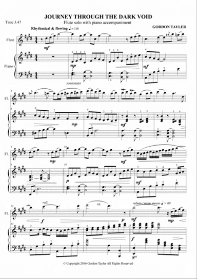 Journey Through The Dark Void