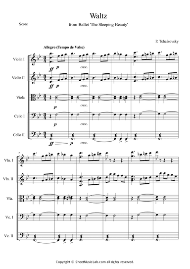 Waltz from Sleeping Beauty