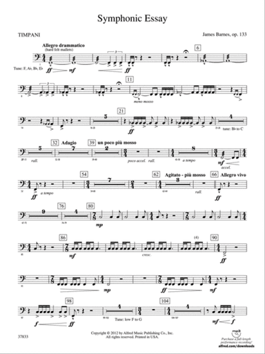 Symphonic Essay: Timpani