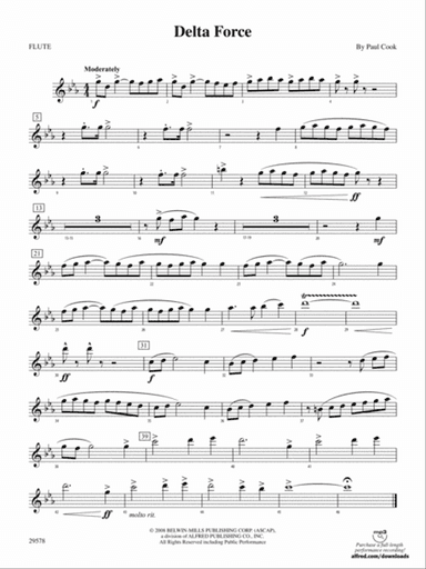 Delta Force: Flute