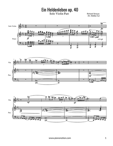 Ein Heldenleben (Violin solo & Piano accompaniment)
