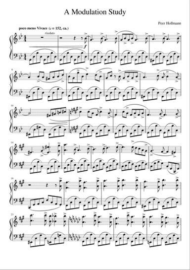 A Modulation Study - Peer Hollmann