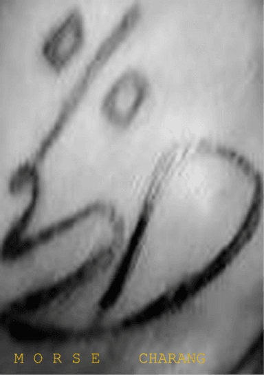 Morse Charang : 000220