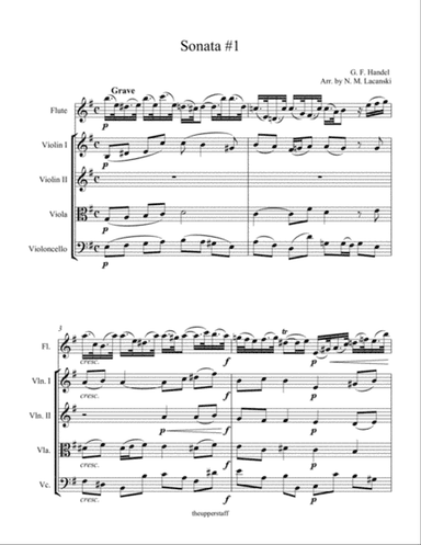 Sonata #1 Movement 1 in E Minor for Flute and String Quartet