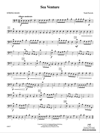 Sea Venture: String Bass