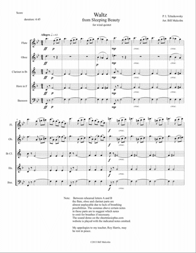 Waltz from Sleeping Beauty
