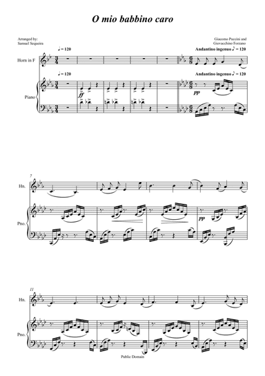 O mio babbino caro - for French Horn and Piano accompaniment - orchestral play along