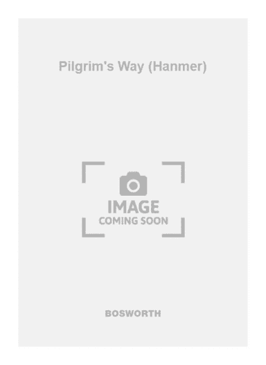 Pilgrim's Way (Hanmer)