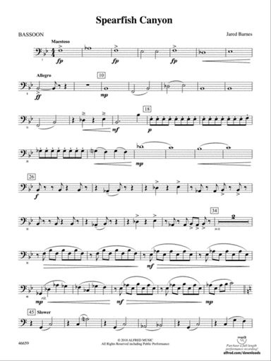 Spearfish Canyon: Bassoon