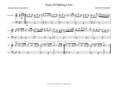 Pretty Girl Milking A Cow