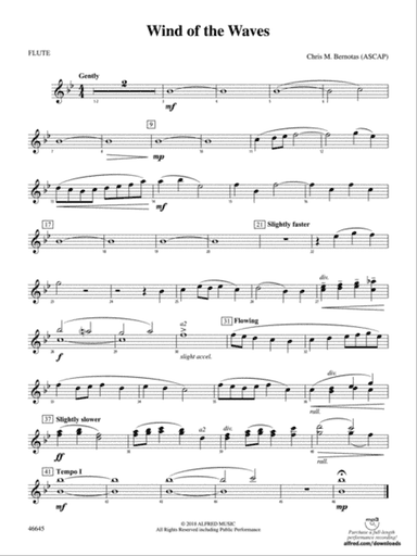 Wind of the Waves: Flute
