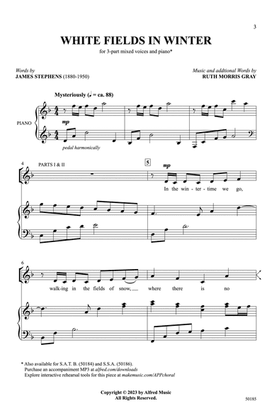 White Fields in Winter