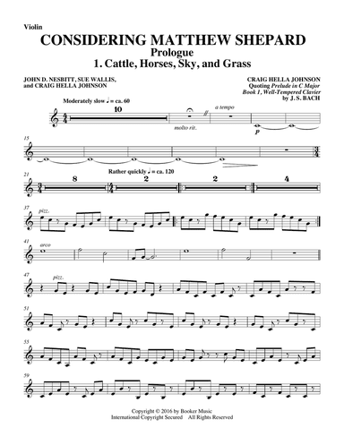 Considering Matthew Shepard - Violin