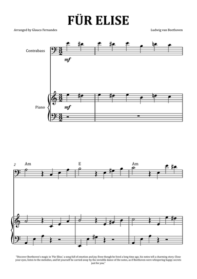 Für Elise by Beethoven - Double Bass and Piano