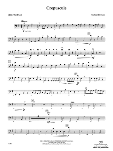 Crepuscule: String Bass