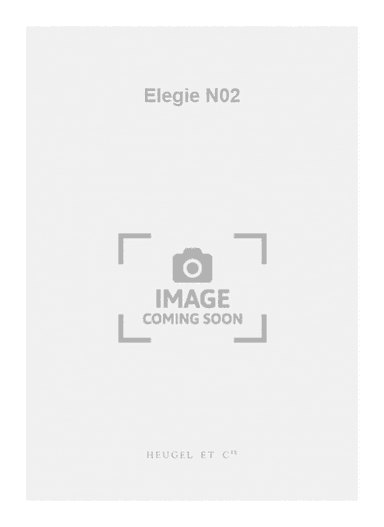 Elegie N02