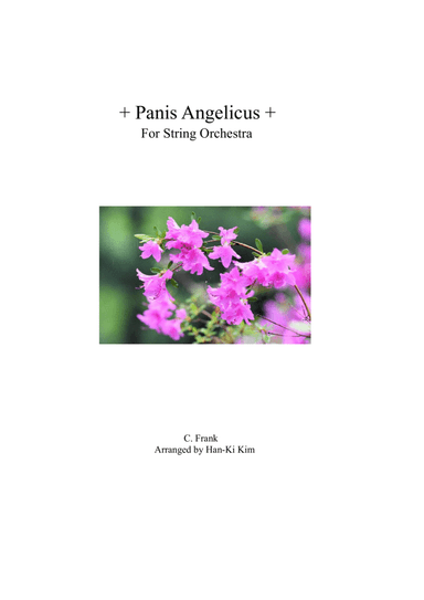 Panis Angelicus (For String Orchestra)