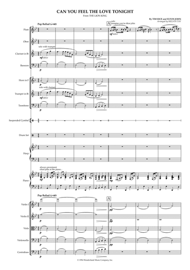 Can You Feel The Love Tonight