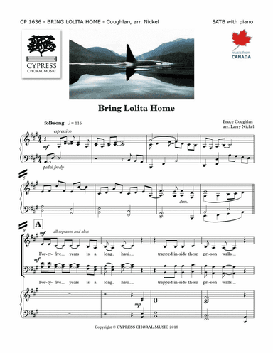 Bring Lolita Home