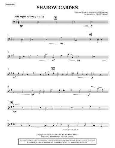 Shadow Garden (Full Orchestra) - Double Bass