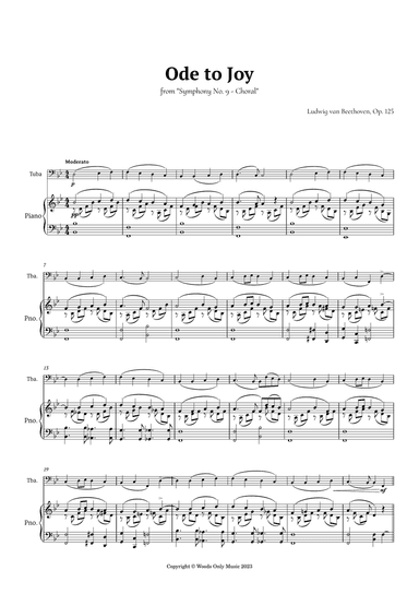 Ode to Joy by Beethoven for Tuba and Piano