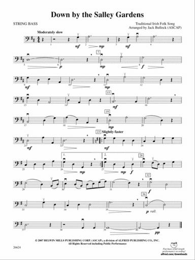 Down by the Salley Gardens: String Bass