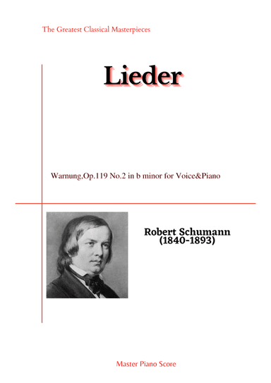 Schumann-Warnung,Op.119 No.2 in b minor