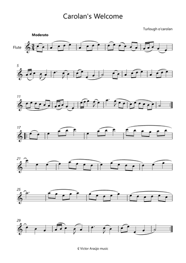Carolan's Welcome flute Leadsheet