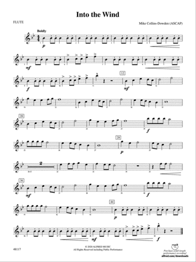 Into the Wind: Flute