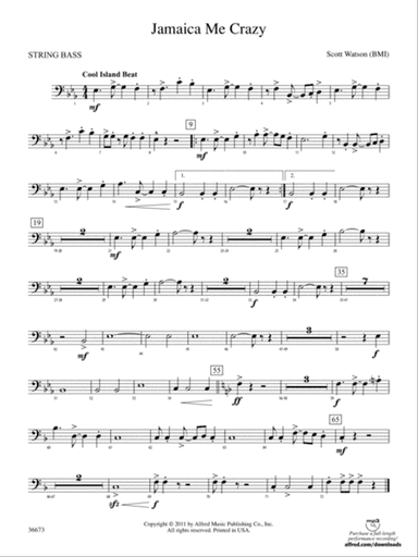 Jamaica Me Crazy: (wp) String Bass