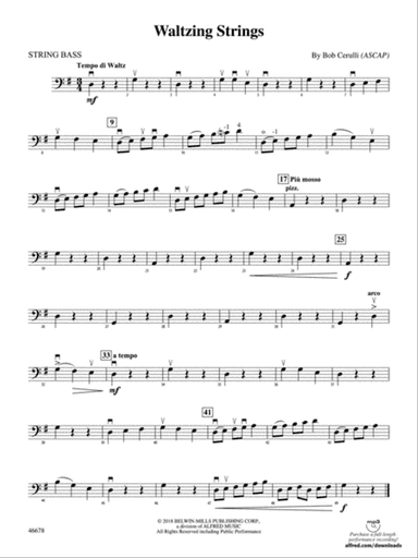 Waltzing Strings: String Bass