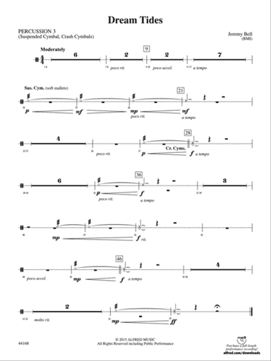 Dream Tides: 3rd Percussion