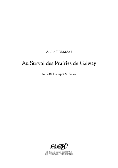 Au Survol des Prairies de Galway