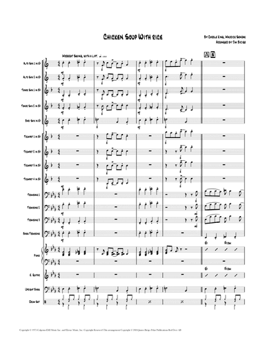 Chicken Soup With Rice