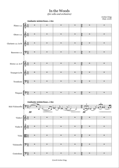 In the Woods (for cello and orchestra)