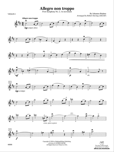 Allegro non troppo: 1st Violin