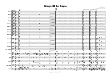 Wings Of An Eagle