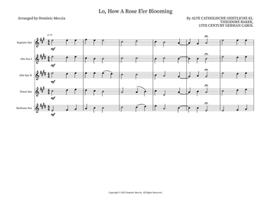 Lo, How A Rose E'er Blooming