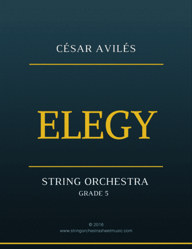 Elegy for String Orchestra
