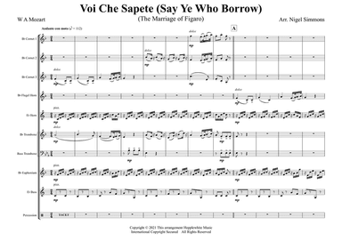 Voi Che Sapete (Say Ye Who Borrow)