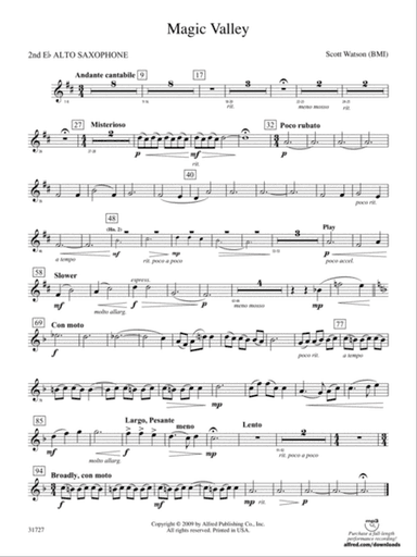 Magic Valley: 2nd E-flat Alto Saxophone