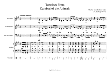 Tortoises for Percussion
