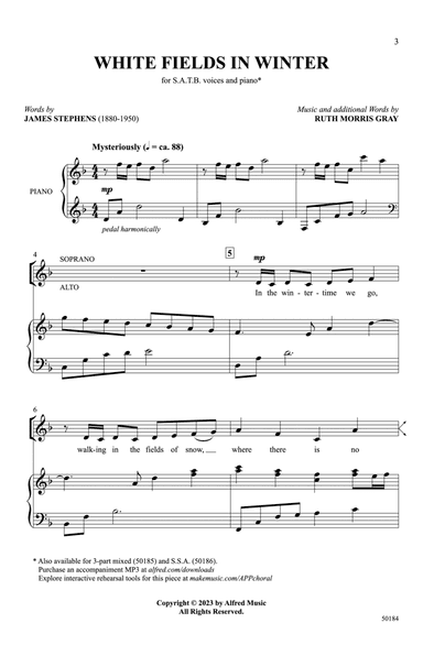 White Fields in Winter