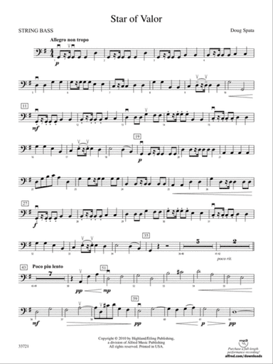 Star of Valor: String Bass