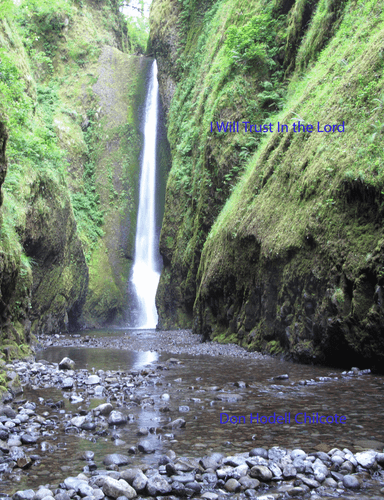 I Will Trust In The Lord