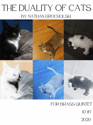 The Duality of Cats